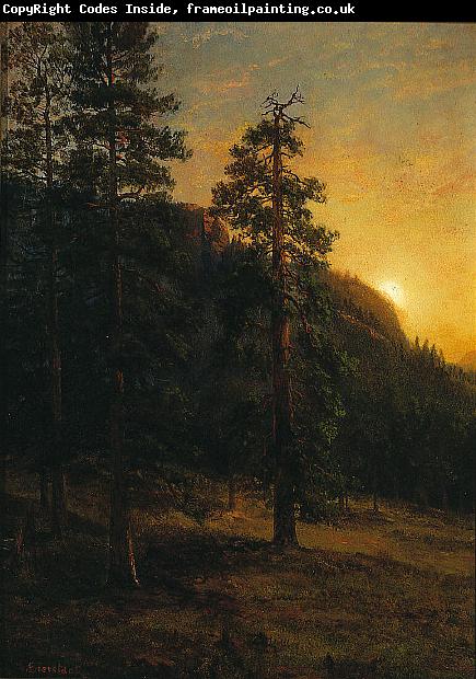 Albert Bierstadt California Redwoods